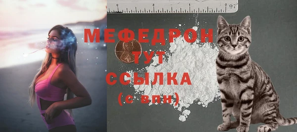 тгк Богданович