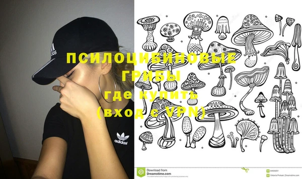 тгк Богданович