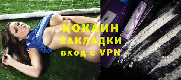 тгк Богданович