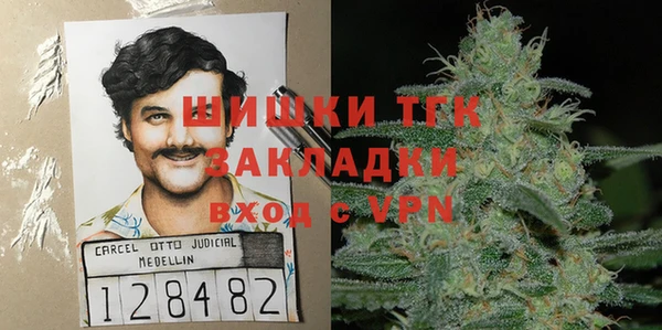 тгк Богородск