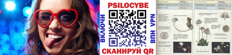 Псилоцибиновые грибы прущие грибы  Белорецк 